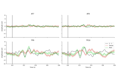 N170 Load and Visualize Data